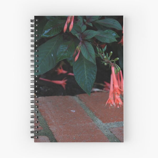 Item preview, Pink flowers above bricks designed and sold by Seerce-Photos.