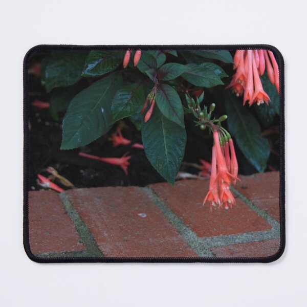 Item preview, Pink flowers above bricks designed and sold by Seerce-Photos.