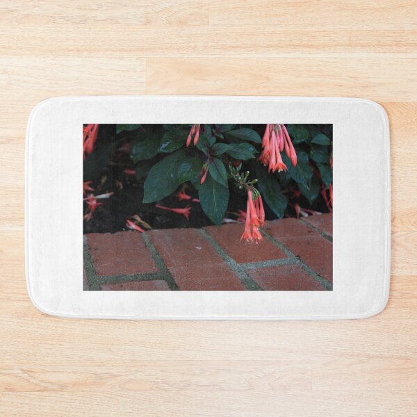 Item preview, Pink flowers above bricks designed and sold by Seerce-Photos.