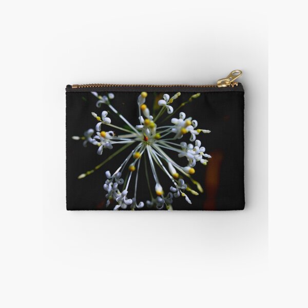 Item preview, Grevillea curviloba  designed and sold by andrachne.