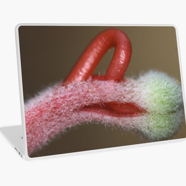 Close encounters Laptop Skin