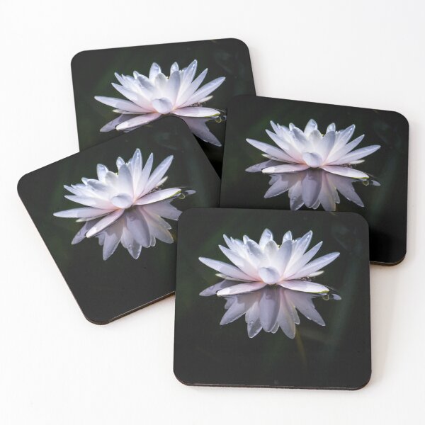 Item preview, Isolated Water Lily With Reflection designed and sold by Shelly Gunderson.