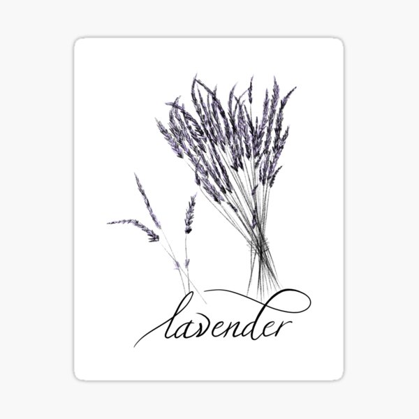 Lavender Bunch Sticker