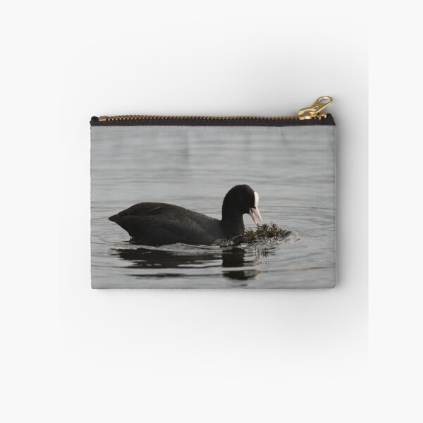 Item preview, Eurasian Coot Feeding Side designed and sold by kernuak.