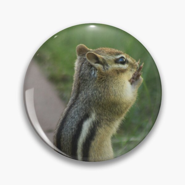 Item preview, Chipmunk Looking Over the Grass designed and sold by Hazel Hall.