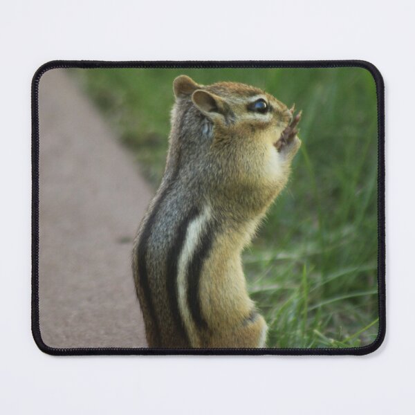 Item preview, Chipmunk Looking Over the Grass designed and sold by Hazel Hall.