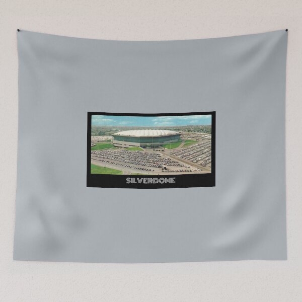 Item preview, Silverdome- Silver designed and sold by DeadStadium.