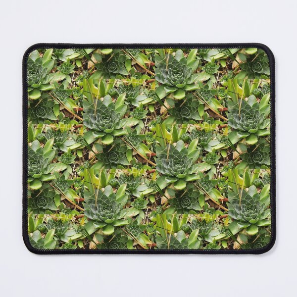 Item preview, "ChicksNHens" Succulent designed and sold by HighMntDwellerz.