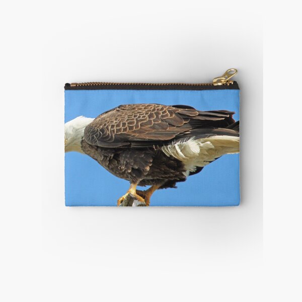Item preview, Bald eagle  designed and sold by Anthony Goldman.