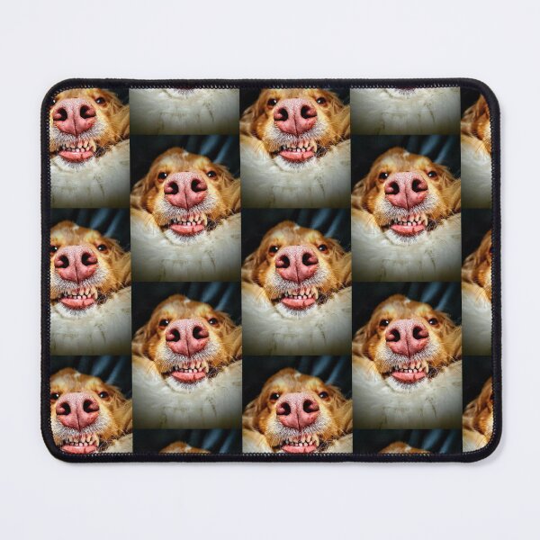 Item preview, "Say Cheese!!" designed and sold by HighMntDwellerz.