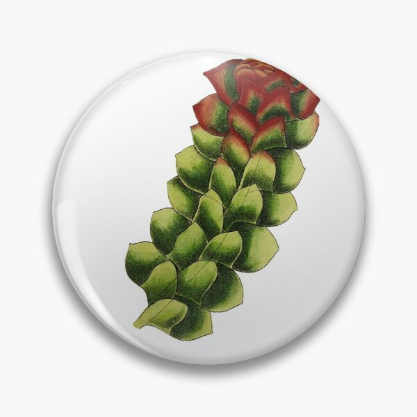 Item preview, Red Leafy Liverwort 1832 designed and sold by BelleZeare.