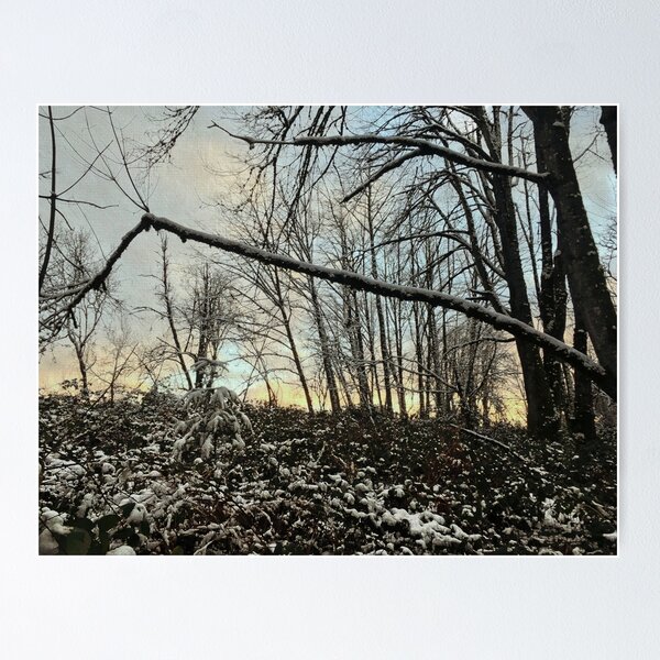 Winter Sunset Poster