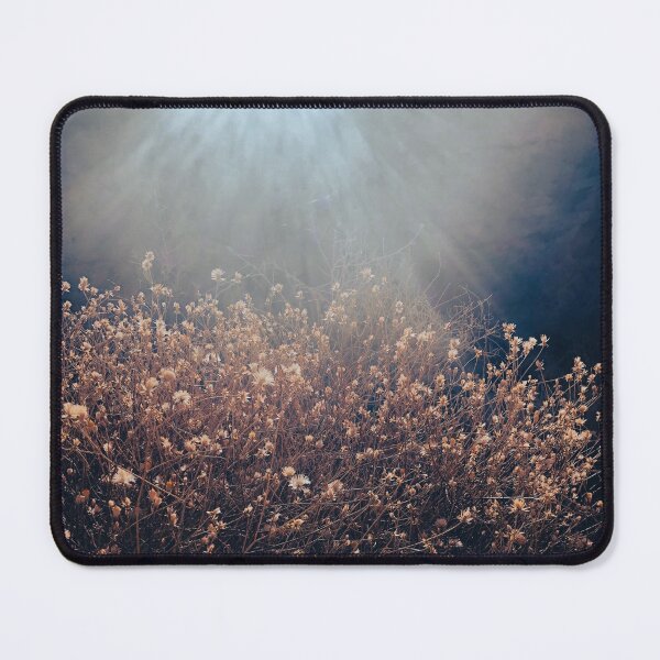 Item preview, Beautiful Sunbeam Through Wildflowers Vintage Photograph designed and sold by kpifer.