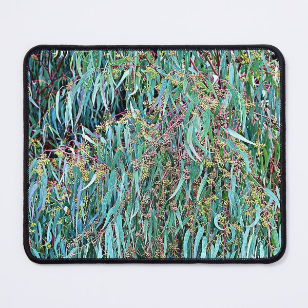Item preview, Springtime for the Eucalyptus designed and sold by Martha Sherman.