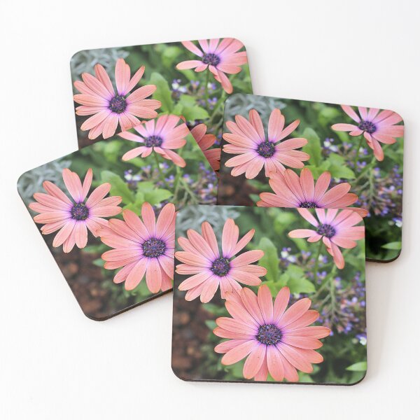 Item preview, Salmon African Daisies designed and sold by Martha Sherman.