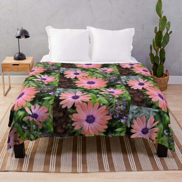 Item preview, Salmon African Daisies designed and sold by Martha Sherman.