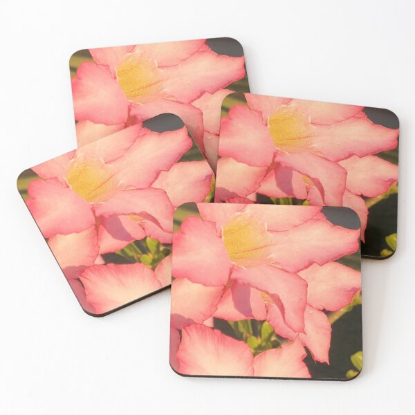 Item preview, Desert Rose Five Petal Flower - Adenium Obesum designed and sold by Bennymp.