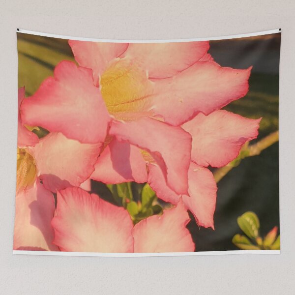 Item preview, Desert Rose Five Petal Flower - Adenium Obesum designed and sold by Bennymp.