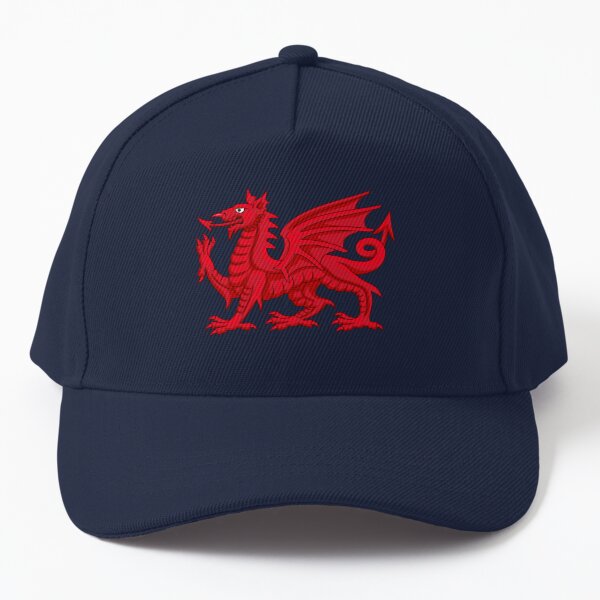 Welsh 2024 dragon hat