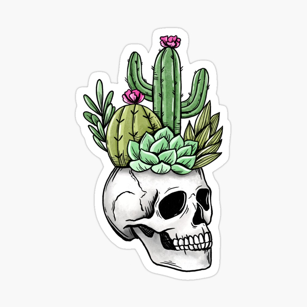 Skull cactus planter Skull cactus planter