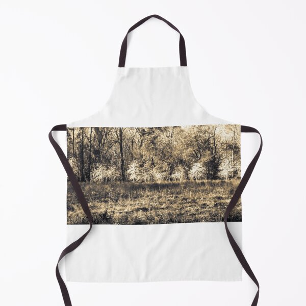 Item preview, Donnelly Preserve Back Lit Trees designed and sold by nbrandsberg.