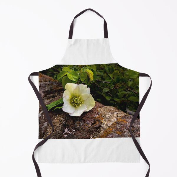 Item preview, Old City Cemetery Lenten Rose designed and sold by nbrandsberg.