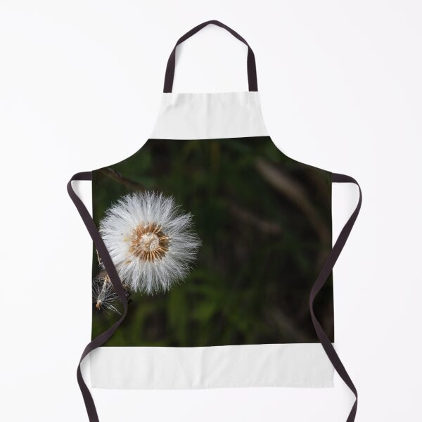 Item preview, Alpine Dandelion Gone to Seed designed and sold by nbrandsberg.