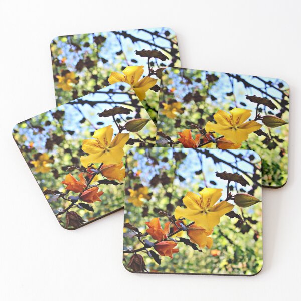 Item preview, California Flannelbush in Bloom designed and sold by Martha Sherman.