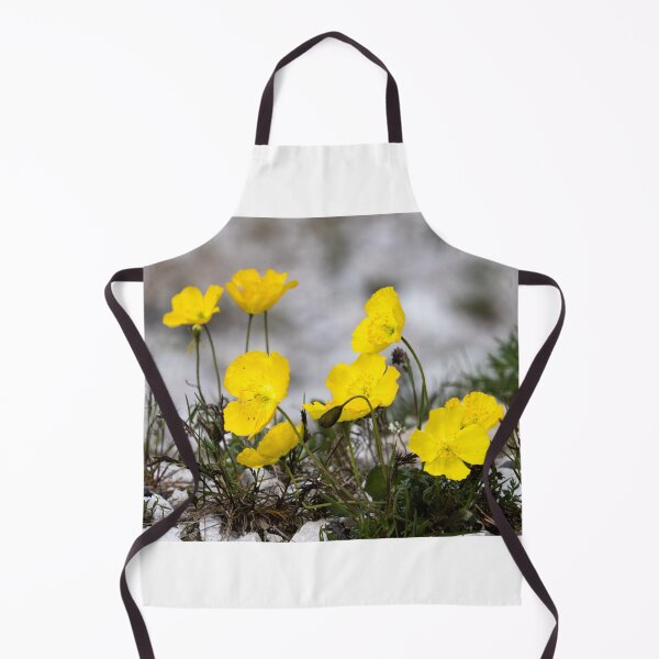 Item preview, Alpine Rhaeticum Poppy designed and sold by nbrandsberg.