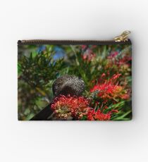Little Wattlebird (Anthochaera chrysoptera) Studio Pouch