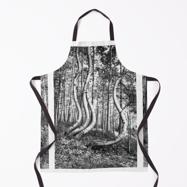 Item preview, Curved Aspens designed and sold by nbrandsberg.