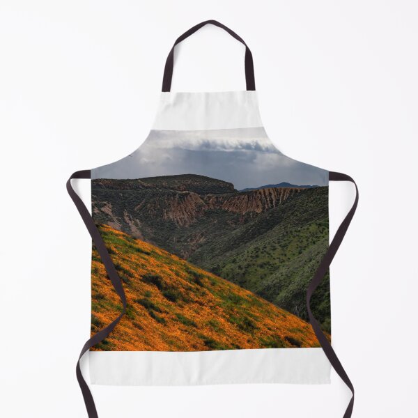 Item preview, Lake Elsinore Poppy Views designed and sold by nbrandsberg.