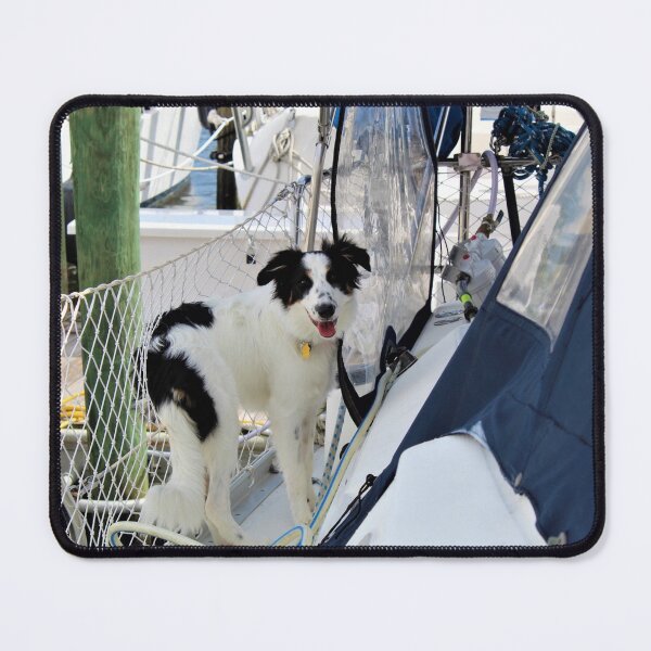 Item preview, Australian Shepherd Skipper Helping to Water her Sailboat designed and sold by banditandkoko.