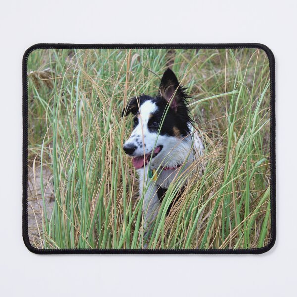 Item preview, Sneaky Skipper Hiding in the Dunes designed and sold by banditandkoko.