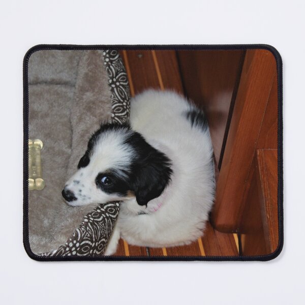Item preview, Skipper Resting on Her Bed designed and sold by banditandkoko.