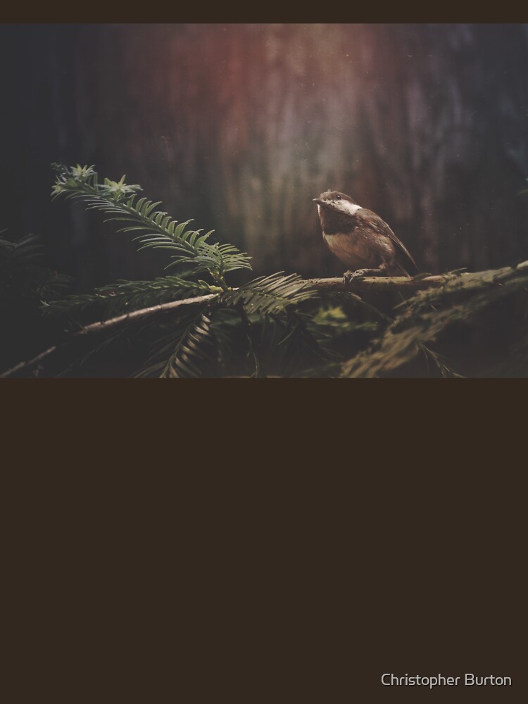 Chickadee In The Redwoods T Shirt For Sale By Heyburton Redbubble Chickadee T Shirts