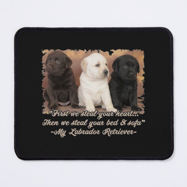 Item preview, First we steal your heart Labrathor retriever designed and sold by Clavitaps.