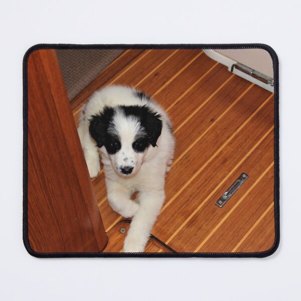 Australian Shepherd Skipper on the Galley Floor Mouse Pad