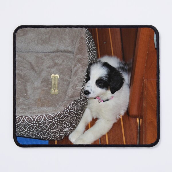 Item preview, Skipper Chilling by her Bed designed and sold by banditandkoko.