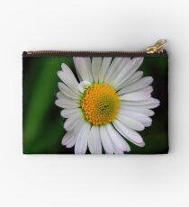 Bellis sylvestris Studio Pouch