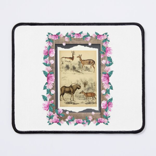Item preview, Zoological board Antilopes - Zoological designs and zoology boards designed and sold by AdvanceDesign.