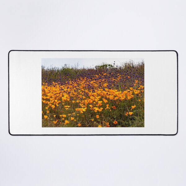 Item preview, California Poppy Field designed and sold by nbrandsberg.