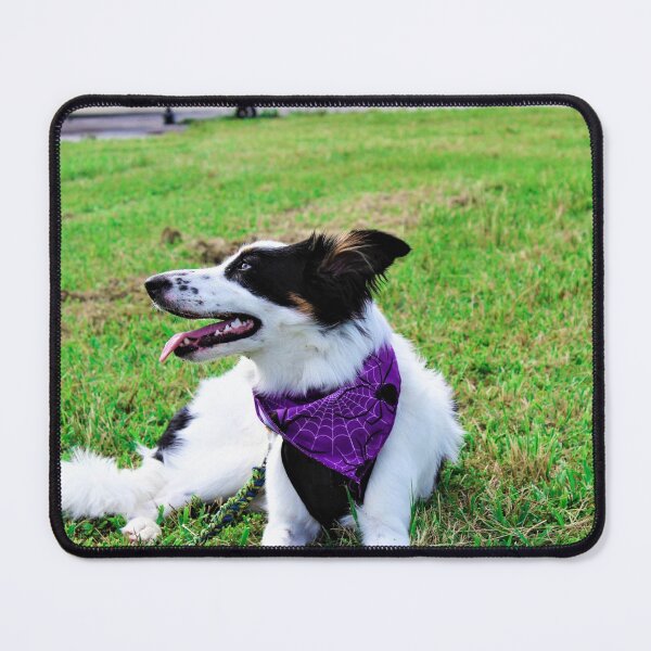Item preview, Skipper in her Purple Spider Bandana designed and sold by banditandkoko.