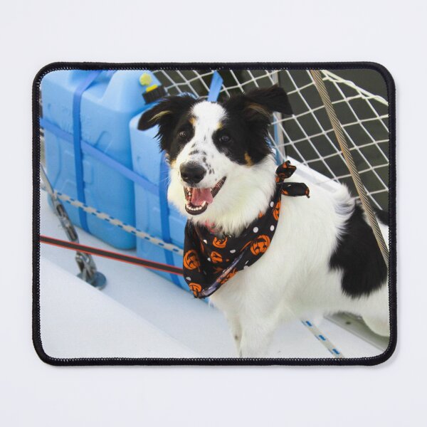Item preview, Skipper Happy for Fall designed and sold by banditandkoko.