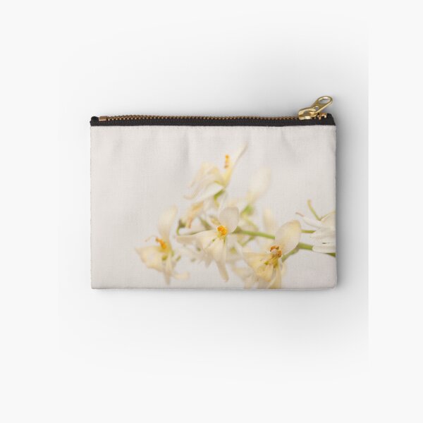 Item preview, flowers of moringa plant isolated on white designed and sold by rajeshbac.