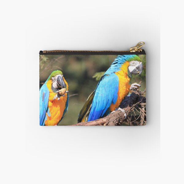 Item preview, Two Blue-and-yellow Macaw designed and sold by DutchLumix.