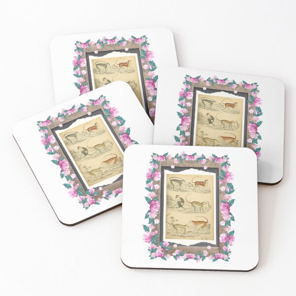 Item preview, Zoological board Guenons - Zoological designs and zoology boards designed and sold by AdvanceDesign.