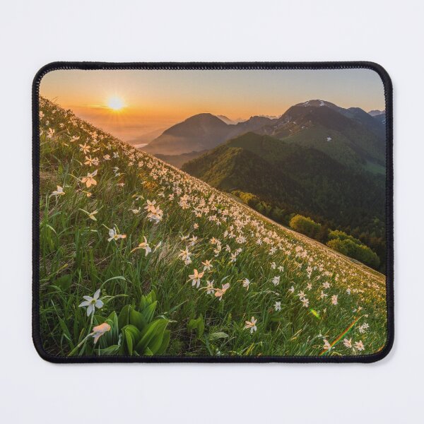Item preview, Mountain Wildflowers designed and sold by ElishaKayne.