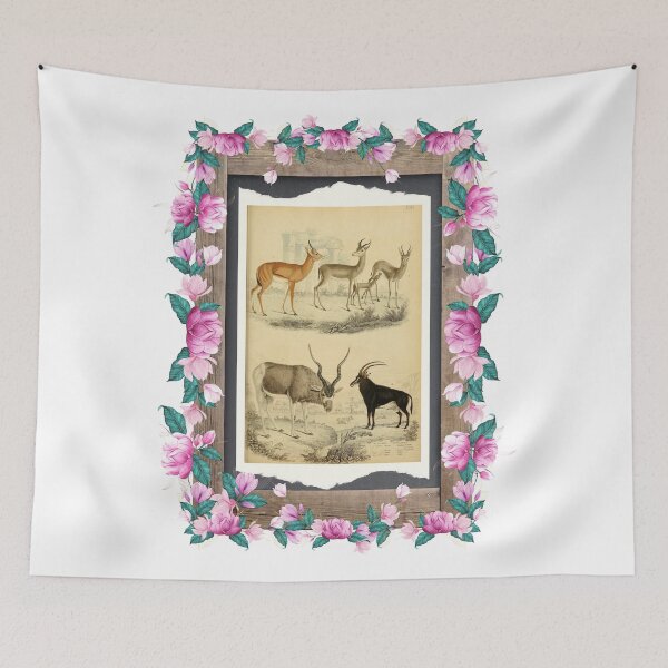 Item preview, Zoological board Antilopes - Zoological designs and zoology boards designed and sold by AdvanceDesign.