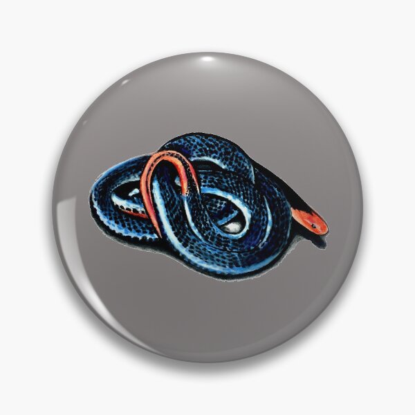 Item preview, Blue Coral snake designed and sold by brandydevoid.